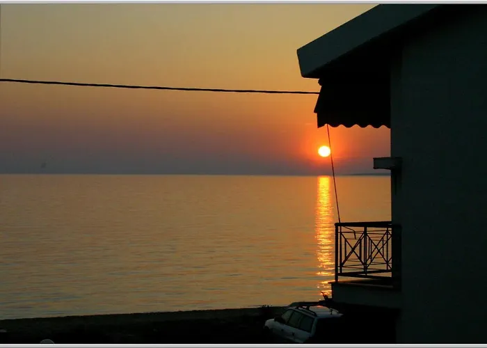 Just 20 Meters From The Apartment *